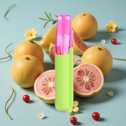 Snowplus Dash 4000 Puffs Dispositivo Desechable Cerámico 7.5 ml Guaya Rosa